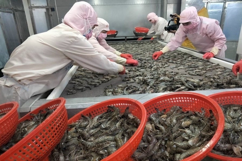 Xuất khẩu tôm sẽ có nhiều biến động trong thời gian tới