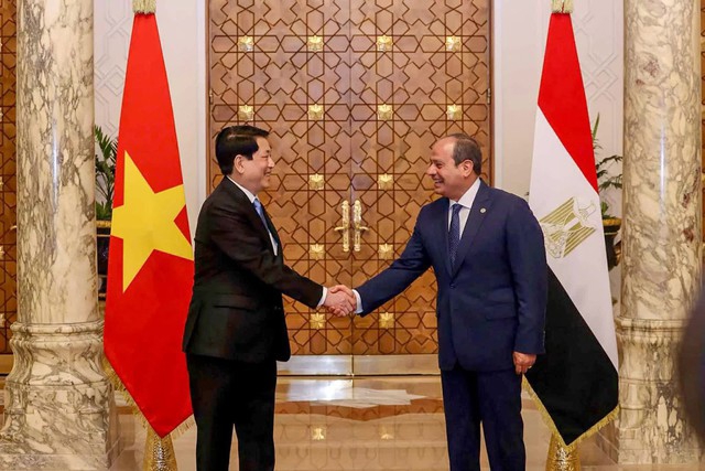 Vietnamese President Luong Cuong (L) and Egyptian President Abdel Fattah El‑Sisi during their summit meeting in Cairo, on August 5,. (Photo: VGP)