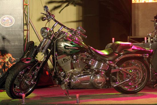 Dàn xe Harley-Davidson "khủng" tụ họp tại Hà Nội - Ảnh 7