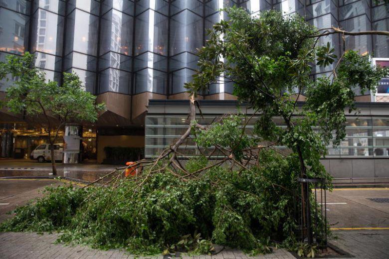 Hình ảnh siêu bão Mangkhut tiếp tục càn quét Hồng Kông, Trung Quốc - Ảnh 12.