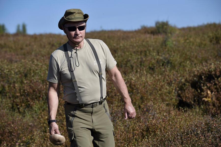 Sức khỏe Tổng thống Putin qua những bức ảnh nghỉ hè ở Siberia  - Ảnh 2.