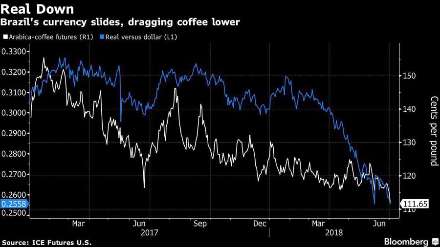 Giá cà phê thế giới chạm đáy 2 năm rưỡi - Ảnh 1.