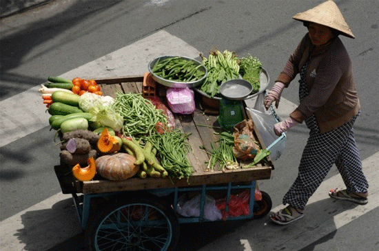 10 sự thật thế giới ít biết về kinh tế Việt Nam - Ảnh 3