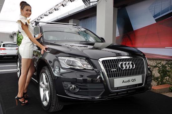 Ấn tượng với màn ra mắt Audi Q5 - Ảnh 6
