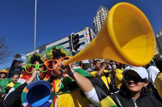 Trước thềm World Cup, Nam Phi “sốt” đủ thứ - Ảnh 1