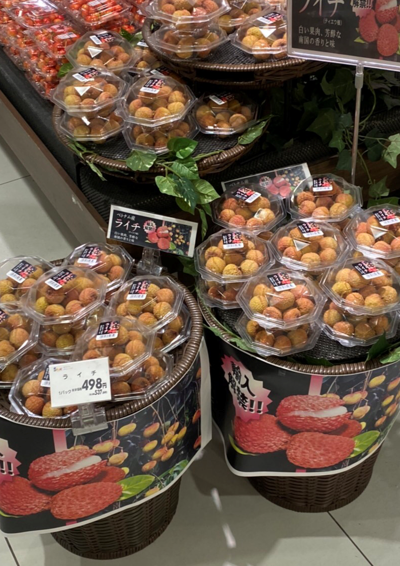 Nhà bán lẻ Nhật Bản hỗ trợ doanh nghiệp Việt nâng cao năng lực quản lý chất lượng sản phẩm - Ảnh 2.