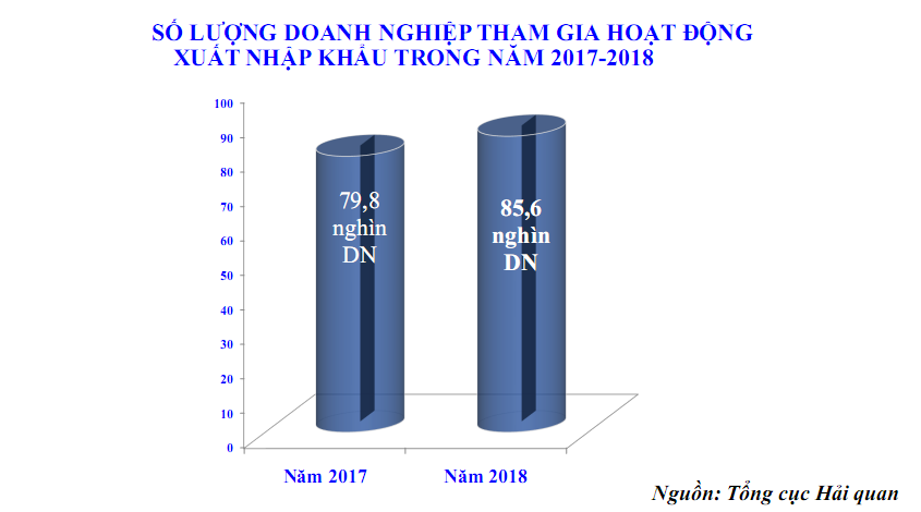 Kim ngạch xuất nhập khẩu hàng hóa theo đầu người năm 2018 tăng vọt - Ảnh 4.