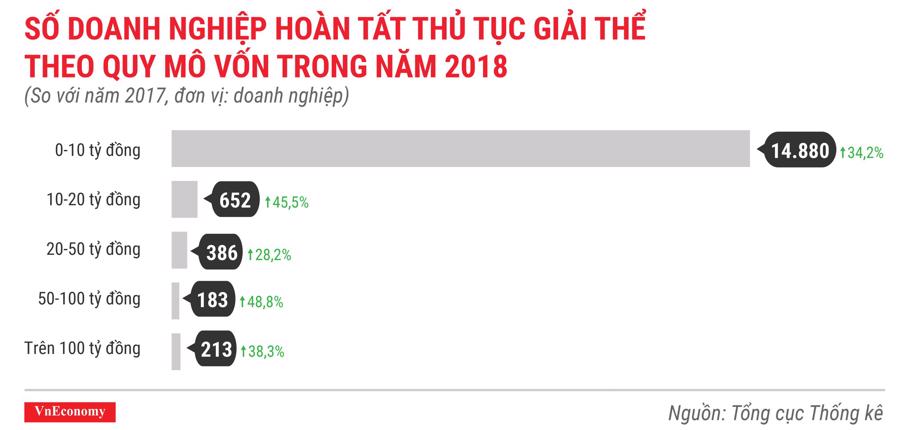 Số doanh nghiệp thành lập mới tại Việt Nam lại có một năm phá đỉnh - Ảnh 16.