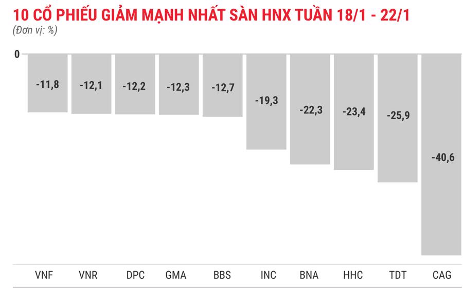 Cổ phiếu RIC bứt phá bất chấp kết quả kinh doanh tiêu cực - Ảnh 6.