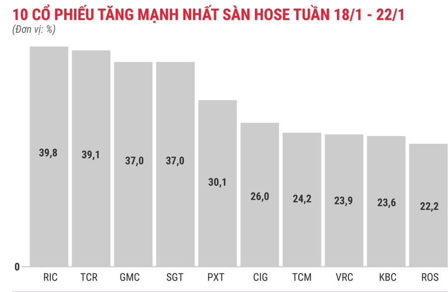 Cổ phiếu RIC bứt phá bất chấp kết quả kinh doanh tiêu cực - Ảnh 2.