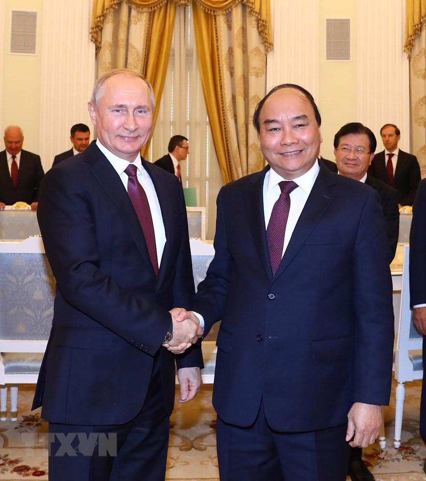 Thủ tướng hội kiến Tổng thống Nga Vladimir Putin - Ảnh 1.