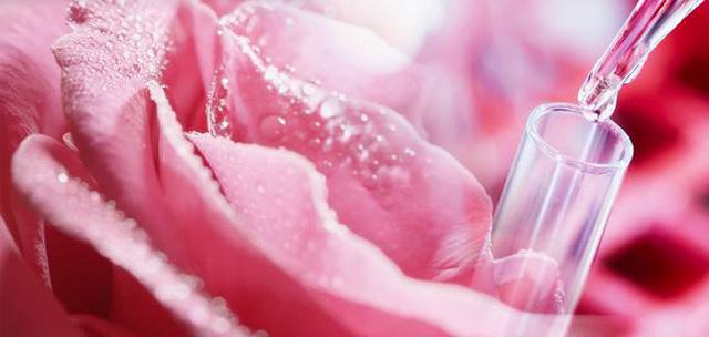 Lancôme Absolue Precious Cells Rose Drop – Đoá hồng trứ danh để tái sinh làn da - Ảnh 4.