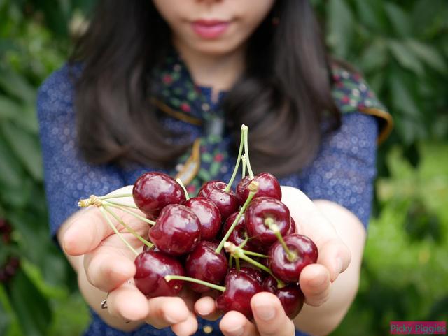 Người tiêu dùng dễ nhầm lẫn cherry Mỹ và Trung Quốc - Ảnh 1.