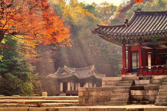 Cung điện Changdeokgung – nơi đẹp nhất để ngắm mùa thu Hàn Quốc - Ảnh 10.