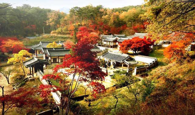 Cung điện Changdeokgung – nơi đẹp nhất để ngắm mùa thu Hàn Quốc - Ảnh 2.