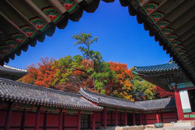 Cung điện Changdeokgung – nơi đẹp nhất để ngắm mùa thu Hàn Quốc - Ảnh 9.