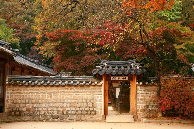 Cung điện Changdeokgung – nơi đẹp nhất để ngắm mùa thu Hàn Quốc - Ảnh 11.