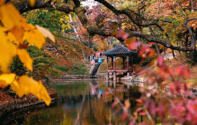 Cung điện Changdeokgung – nơi đẹp nhất để ngắm mùa thu Hàn Quốc - Ảnh 13.