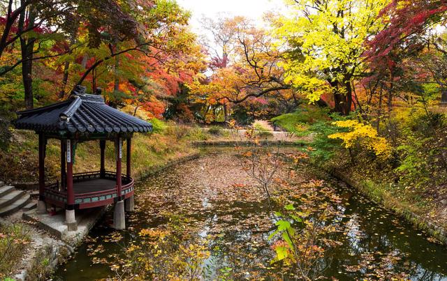 Cung điện Changdeokgung – nơi đẹp nhất để ngắm mùa thu Hàn Quốc - Ảnh 14.