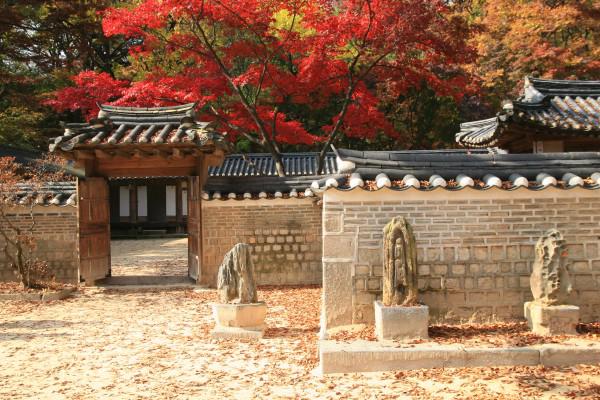 Cung điện Changdeokgung – nơi đẹp nhất để ngắm mùa thu Hàn Quốc - Ảnh 4.