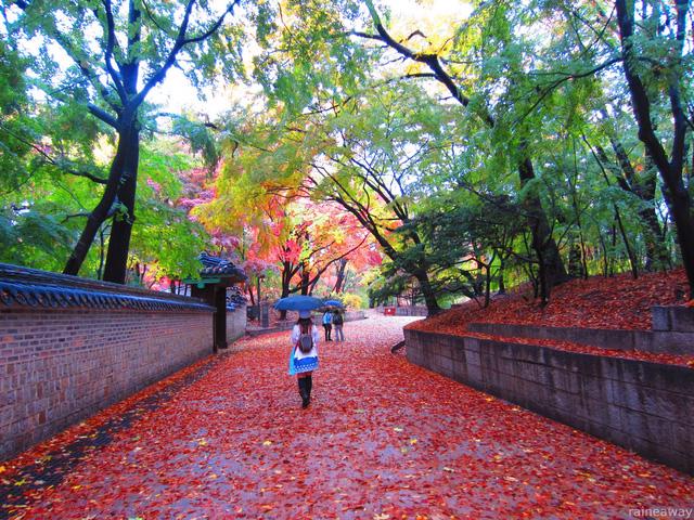 Cung điện Changdeokgung – nơi đẹp nhất để ngắm mùa thu Hàn Quốc - Ảnh 7.