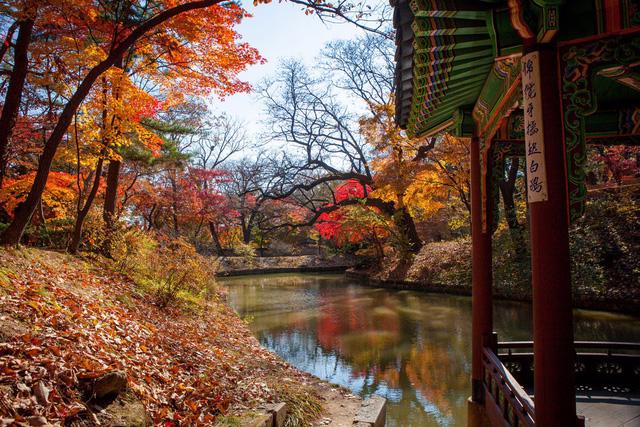 Cung điện Changdeokgung – nơi đẹp nhất để ngắm mùa thu Hàn Quốc - Ảnh 6.