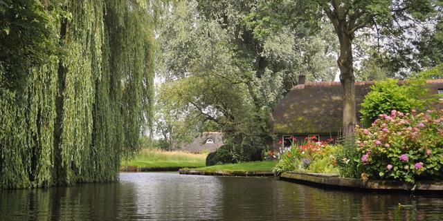 Sống chậm ở Giethoorn - Ảnh 5.