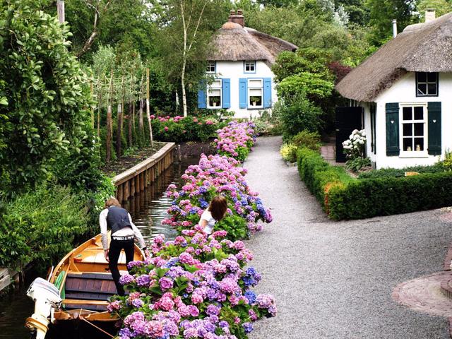 Sống chậm ở Giethoorn - Ảnh 2.