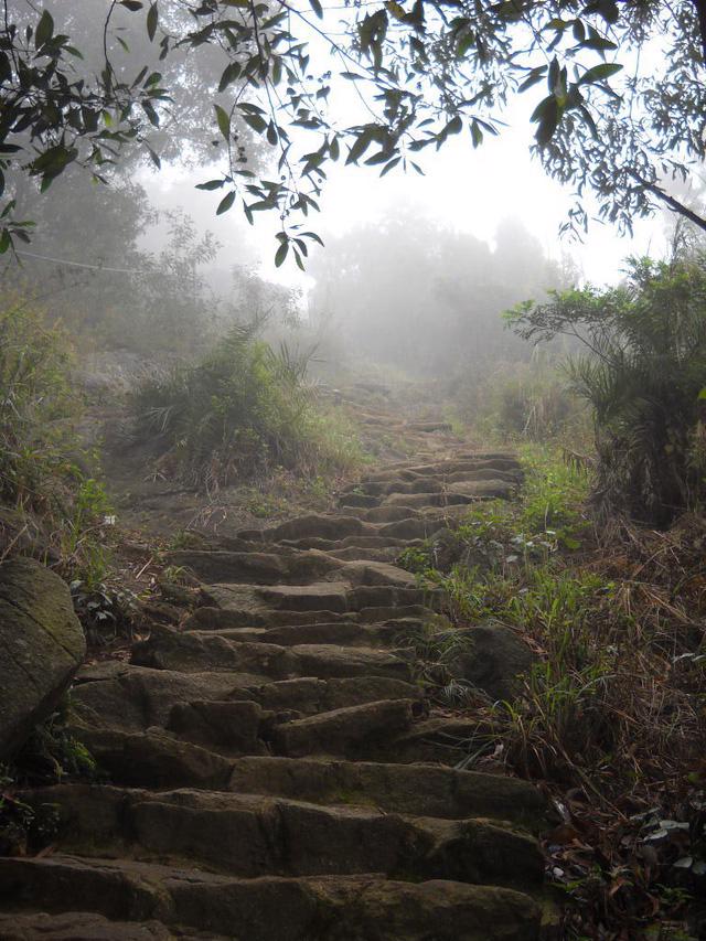 8 địa điểm để bạn làm quen với trekking tại Việt Nam - Ảnh 9.