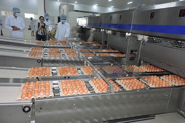 Ba Huân khánh thành Nhà máy xử lý trứng tại Hà Nội - Ảnh 5