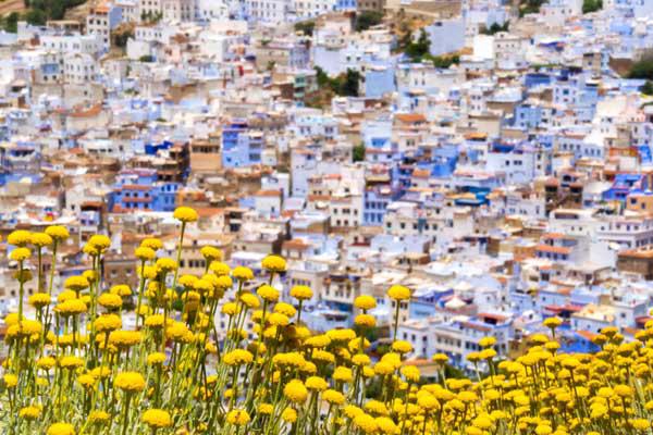 Chefchaouen: Viên ngọc xanh trên lục địa đen - Ảnh 4