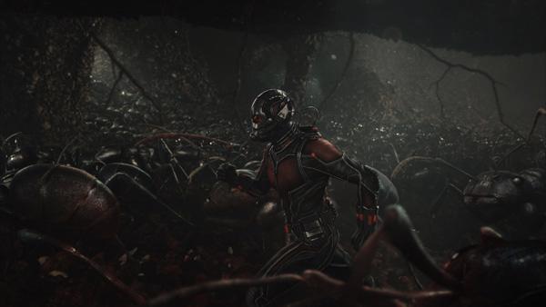 Ant-Man: Màn chào sân ngoạn mục của Người Kiến - Ảnh 1
