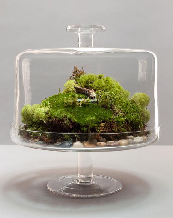 Terrarium – Thú chơi của những “nông dân sành điệu” - Ảnh 7