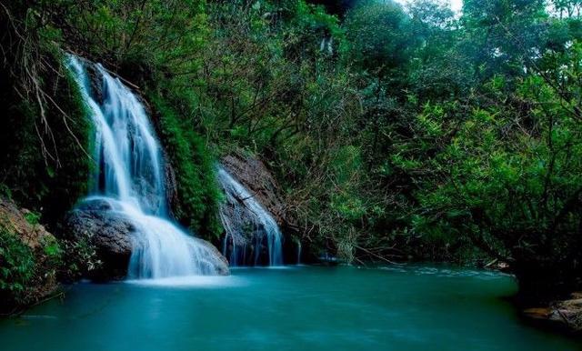 Đón hè, phượt thủ rủ nhau lên cao nguyên Mộc Châu hái mận - Ảnh 6