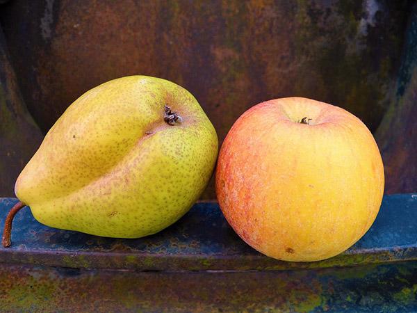 Những loại trái cây nếu ăn cả hạt sẽ nguy hại như thế nào? - Ảnh 4