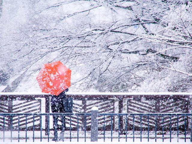 Kyoto mùa đông: Thêm vào danh sách chuyến đi của bạn một chuyến tham quan Kyoto với phong cảnh tuyết phủ trắng xóa. Ghé thăm những ngôi đền cổ kính, những con đường nhiều lịch sử và những khu trượt tuyết đẹp như trong tranh. Bạn sẽ không muốn bỏ qua những trải nghiệm tuyệt vời này trong mùa đông.