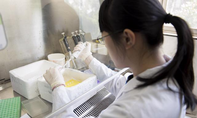 Trung Quốc điều tra dịch viêm phổi lạ, nghi giống với dịch SARS - Ảnh 2.