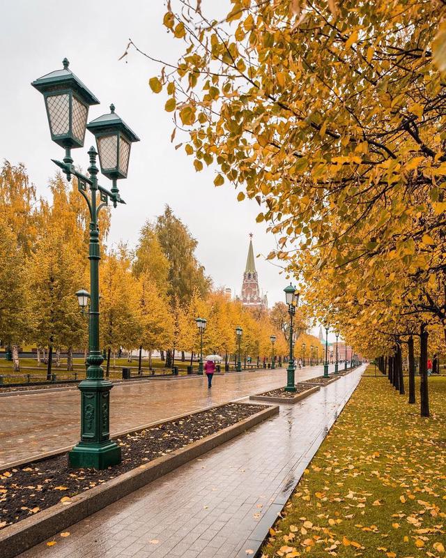 Ngắm mùa thu vàng ở cố đô của nước Nga - Ảnh 9.