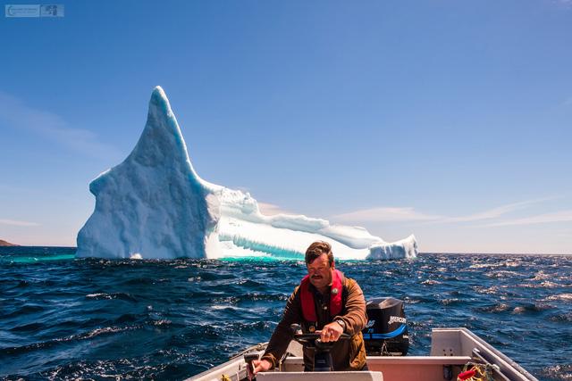 Ngắm băng trôi ở Newfoundland và Labrador - Ảnh 9.