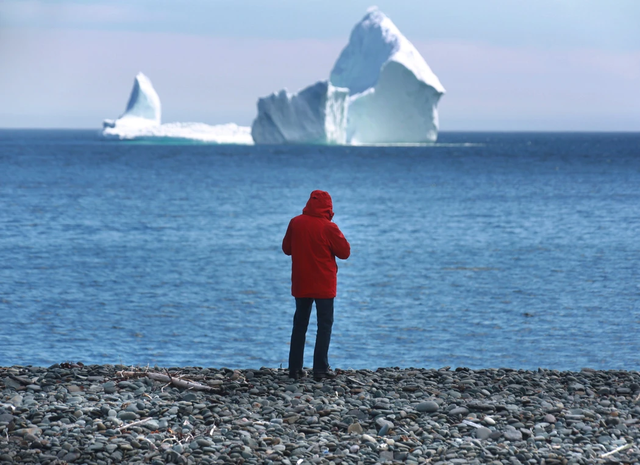 Ngắm băng trôi ở Newfoundland và Labrador - Ảnh 16.