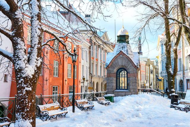 Tallinn – thế giới tuyết trong cổ tích - Ảnh 20.