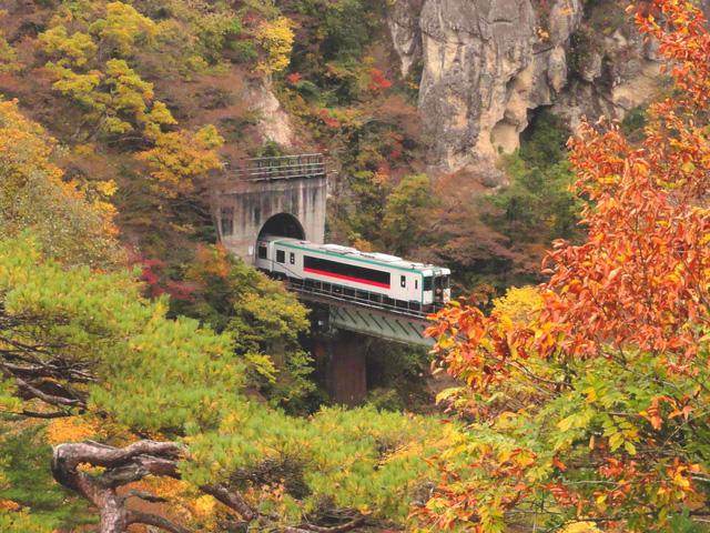 Lên chuyến tàu đến Tohoku mùa lá đỏ - Ảnh 9.