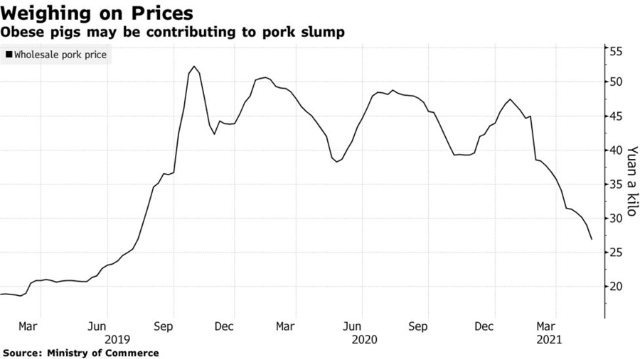Diễn biến gi&aacute; b&aacute;n bu&ocirc;n thịt lợn ở Trung Quốc 1 năm qua. Đơn vị: Nh&acirc;n d&acirc;n tệ/kg - Nguồn: Bloomberg.