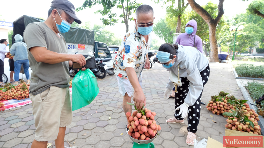 Người dân Hà Nội hào hứng mua vải sớm Bắc Giang - Ảnh 4