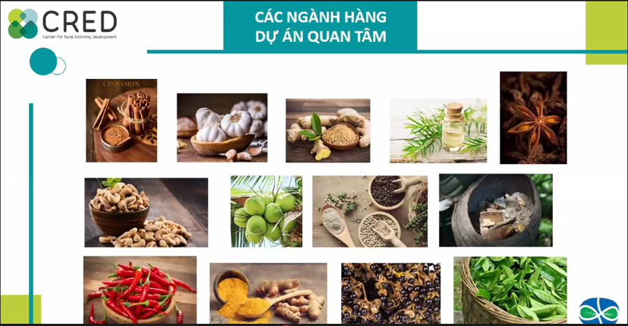 C&aacute;c sản phẩm gia vị hữu cơ tại Việt Nam đ&atilde; được cấp chứng nhận bền vững