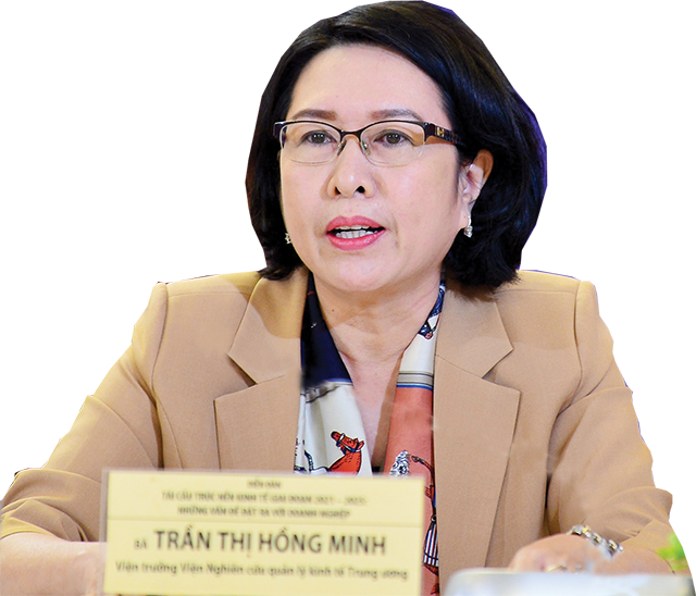 TS Trần Thị Hồng Minh, Viện trưởng Viện Nghi&ecirc;n cứu quản l&yacute;, kinh tế Trung ương
