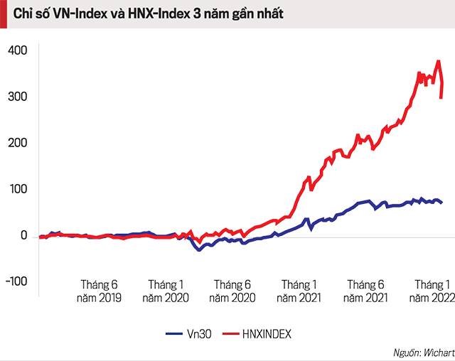 Năm Dần, cẩn trọng với những cổ phiếu “nóng’’ trên lưng Cọp - Ảnh 1