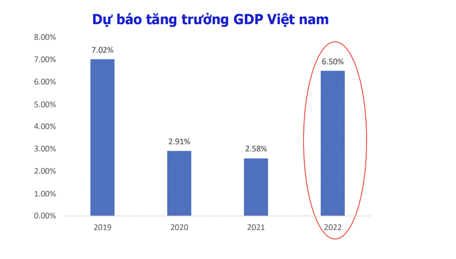 Hàng trăm triệu USD từ quỹ ETF sẽ đổ vào chứng khoán Việt nếu được nâng hạng ngay năm 2022 - Ảnh 1