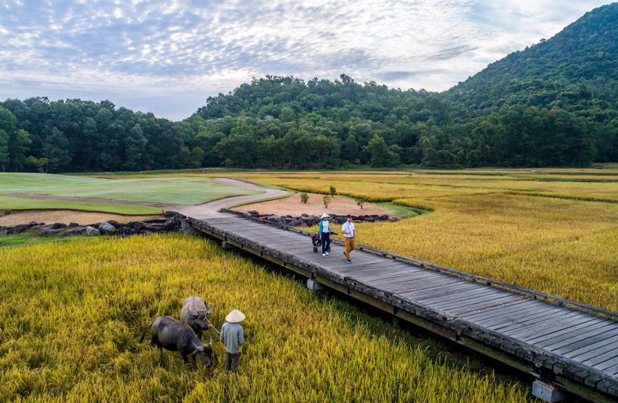 Việt Nam đ&atilde; c&oacute; 2 năm được vinh danh l&agrave; &ldquo;Điểm đến Golf tốt nhất thế giới&rdquo;.