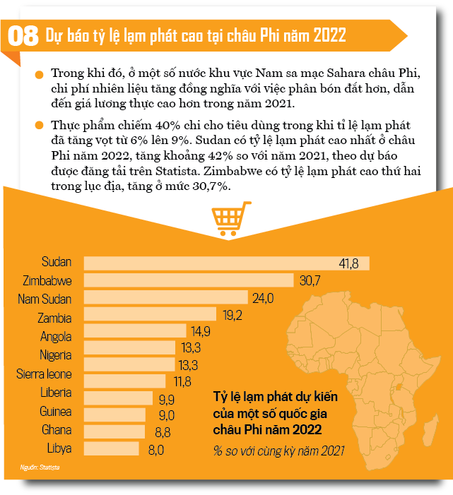 Bức tranh lạm phát toàn cầu 2021- 2022 - Ảnh 9